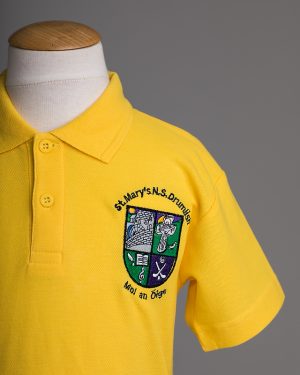 Drumlish School Polo Longford