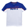 Levis Block Tee Durkins Longford