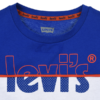 Levis Block Tee Durkins Longford