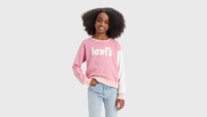 Levi's Colourbloc Sweat