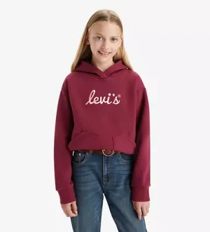 Levi's Teen Poster Logo Hoodie