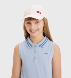 Levi's Richmond Batwing Curve Cap