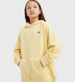 Levi's Pullover Hoodie (6-14)