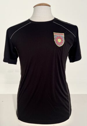 Lanesboro Community College PE T-Shirt