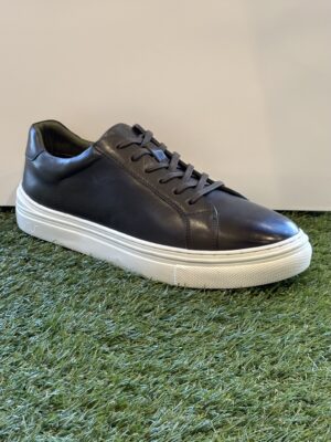 House of United Trainer
