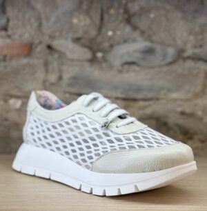 Jose Saenz Mesh Trainer