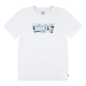 Levi's Boys Waves Tee
