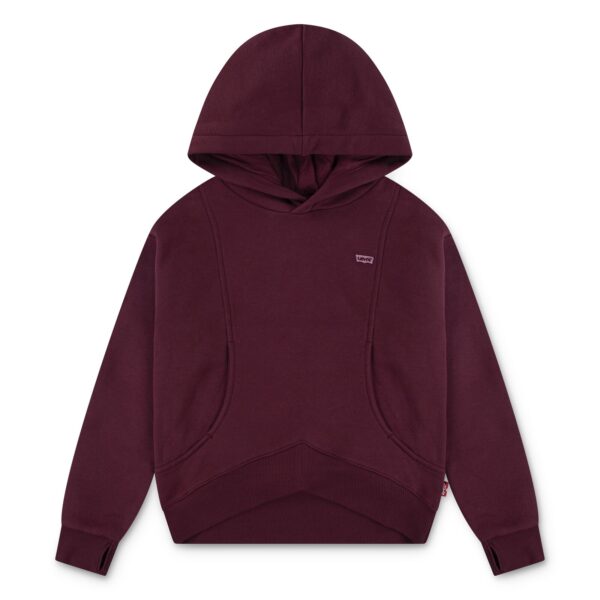 Levi’s Batwing Hoodie