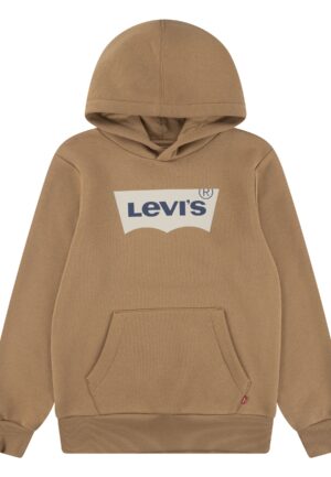 Levi’s Screenprint Hoodie