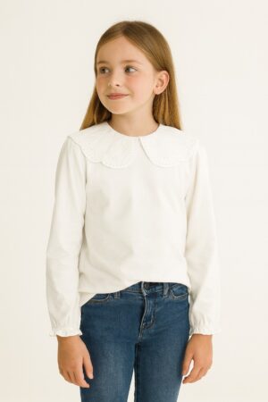 Zippy Collar Top