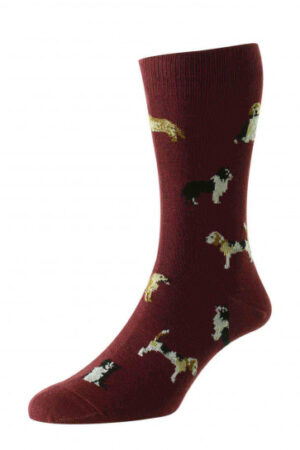 HJ Hall Country Dogs Cotton Socks