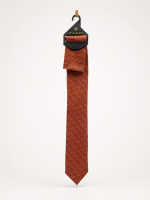 boys rust tie and pocket square set